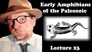 Lecture 23 Early Amphibians of the Paleozoic [upl. by Ellga]