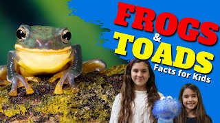 Learn All About Frogs and Toads  Facts for Kids [upl. by Grady]