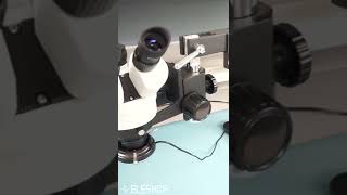 How to Set Up a Stereo Microscope Correctly shorts [upl. by Ajnek]