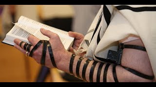 Das Anlegen der Tefillin der jüdischen Gebetsriemen [upl. by Jimmy]