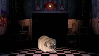 pug dancing to fnaf music box for one hour [upl. by Ongun919]