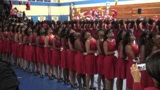 Delta Sigma Theta Probate  Hampton University  Fall 2012 [upl. by Iborian6]