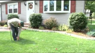 Lawn Aeration and Overseeding Lawn Care Tips [upl. by Hayse]