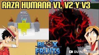 COMO EVOLUCIONAR LA RAZA HUMANO A V2 Y V3ROBLOX BLOX FRUITS GUIA [upl. by Eintihw]