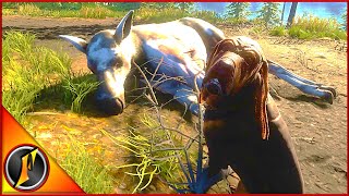 First Hunt with Bloodhounds in Call of the Wild [upl. by Digdirb]