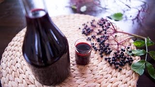 Elderberry Cordial with Honey [upl. by Laup]