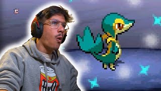 THE HARDEST SHINY SNIVY HUNT POSSIBLE [upl. by Nnasus441]