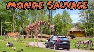 visite du zoo monde sauvage d aywaille [upl. by Frye]