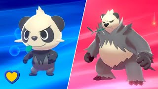 HOW TO Evolve Pancham into Pangoro in Pokémon Sword and Shield [upl. by Aivitnahs]