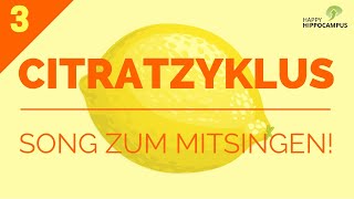 Citratzyklus Song Citratzyklus lernen mit Eselsbrücken 33  Biochemie  HappyHippocampus [upl. by Iturhs662]