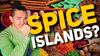 The Spice Islands Why Europe Colonized Southeast Asia [upl. by Eiba]