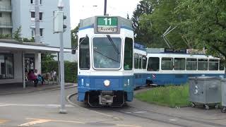 VBZ Linie 11  Rehalp  Bucheggplatz  Tram 2000 [upl. by Anikal]