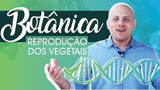 BOTÂNICA  REPRODUÇÃO DOS VEGETAIS  Bionline [upl. by Sundstrom429]