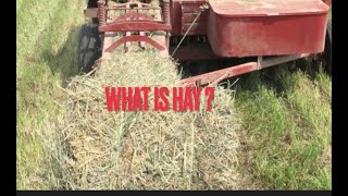 What is Hay and hows it made [upl. by Bradski]