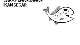 Cara penanganan ikan segar [upl. by Tuchman]