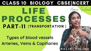 Life Processes class 10 Biology  Transportation  Part11 [upl. by Newo138]