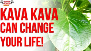 Kava Kava Everything you NEED TO KNOW [upl. by Moskow]