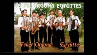 Fehér Orgona Együttes  Kócos fejed ha rám hajtod  Album [upl. by Arleen]