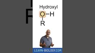 Functional Groups 1 Introduction and Hydroxyl apbiology functionalgroups [upl. by Dilly]