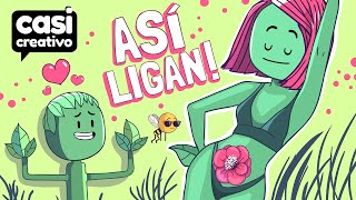 Así se Enamoran Las Plantas  Casi Creativo [upl. by Wahs]