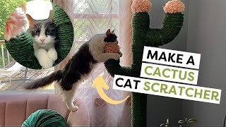 Build Your Own DIY Cat Scratcher From PVC  DIY Cat Furniture [upl. by Akirehs]