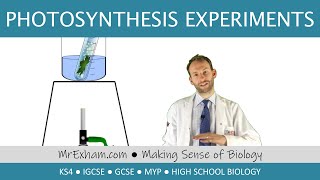 Photosynthesis Experiments starch leaf and pond weed  GCSE Biology 91 [upl. by Merlina857]