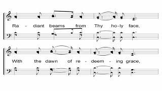 Silent Night Holy Night  A Cappella Hymn [upl. by Haden]