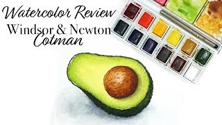 Winsor amp Newton Cotman Review  Watercolor Timelapse Illustration [upl. by Llertnauq]