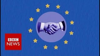 What is the EU customs union  BBC News [upl. by Thekla]