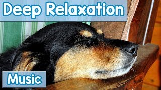 15 Hours of Deep Relaxation Music for Dogs Music to Relax Your Dog Completely and Help with Sleep [upl. by Chaing445]