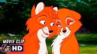 THE FOX AND THE HOUND Clip  Just Getting Interesting 1981 Disney [upl. by Bastien401]