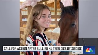 Bullied Teen Takes Own Life 2 Days After Students Took Video of Assault at NJ School  NBC New York [upl. by Brower411]