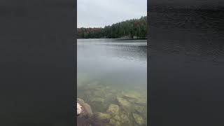 Beautiful Calabogie canada nature new lake foryou chill fall fishing overcast beautiful [upl. by Derag]