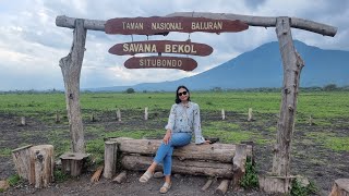 Baluran National Park  Banyuwangi  Taman Nasional Baluran Savana Bekol Situbondo  IQ8 CHANNEL [upl. by Nichola724]