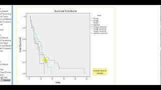 SPSS for medics KaplanMeier survival curve analysis [upl. by Oicneconi]