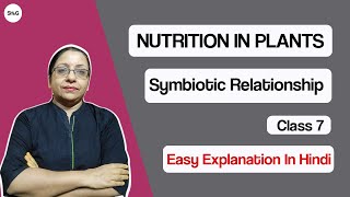 Nutrition In Plants Symbiotic Relationship  Class 7 In Hindi [upl. by Silohcin219]