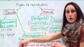 20 Sciences 9e Modes de reproduction [upl. by Paulina564]