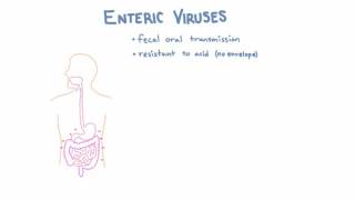 Introduction to Enteric Viruses [upl. by Aihsem]