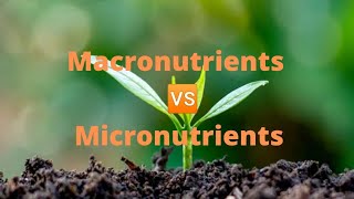 Difference Between Macro Nutrients And Micro NutrientsClass Series [upl. by Nedac]