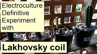 Electroculture  The Definitive Lakhovsky Coil Antenna Experiment [upl. by Chryste501]