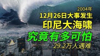 印度洋海啸到底有多可怕，29万人遇难，51万人受伤，想起都会打颤 [upl. by Enair]