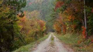 Parenzana  beautiful bike trail in Northwest Istria [upl. by Okramed283]