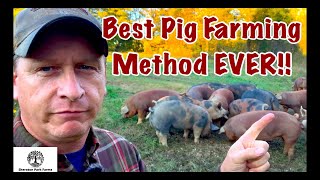 Pig Farming  Pastured Pork VS CAFO [upl. by Neill41]