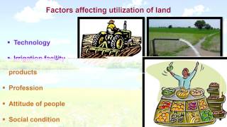 Land Use And Agriculture In India Geography [upl. by Kirtley597]