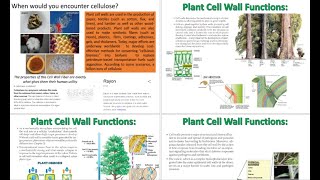 Plant Physiology Cell Wall Structure Formation and Expansion [upl. by Kemme]