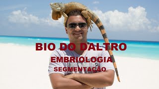 EMBRIOLOGIA  PARTE 02  SEGMENTAÇÃO OU CLIVAGEM [upl. by Baggott]