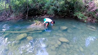 Nuestra Técnica Para Atrapar CANGREJOS De Rio Pesca y Cocina [upl. by Darum]