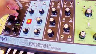 Moog Grandmother Sync Sequence [upl. by Parrnell]