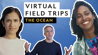 Virtual Field Trip  The Ocean [upl. by Llerrej]