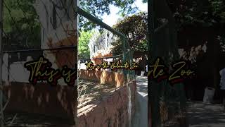 Baluarte Zoo [upl. by Suruat]